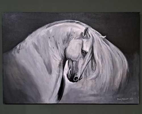 Obraz na płótnie Koń szary