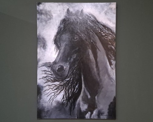 Obraz na płótnie Ogier Fryzyjski