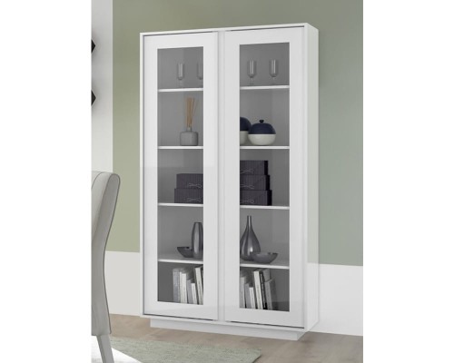 Ice Witryna 2-drzwiowa