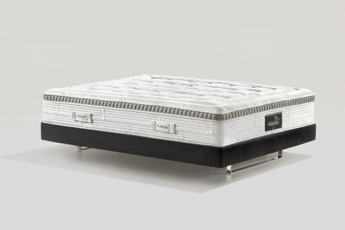 1800 AUDACE ARMONIA DUAL 12  3-4 01.jpg