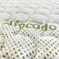 avocado detail_web.webp
