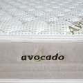 avocado cover-detail3_web_pl.webp