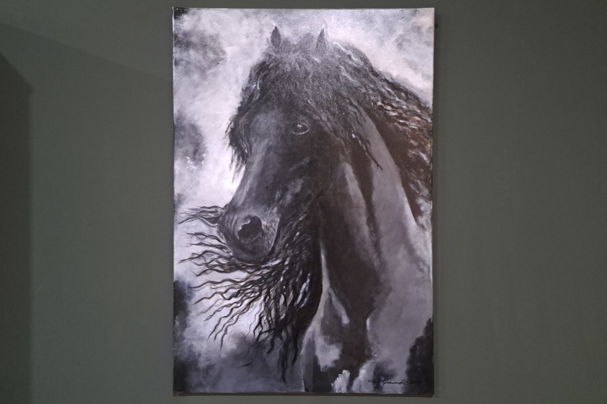 Obraz na płótnie Ogier Fryzyjski