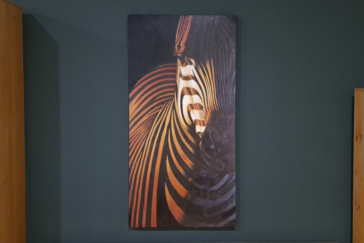 Obraz na płótnie zebra