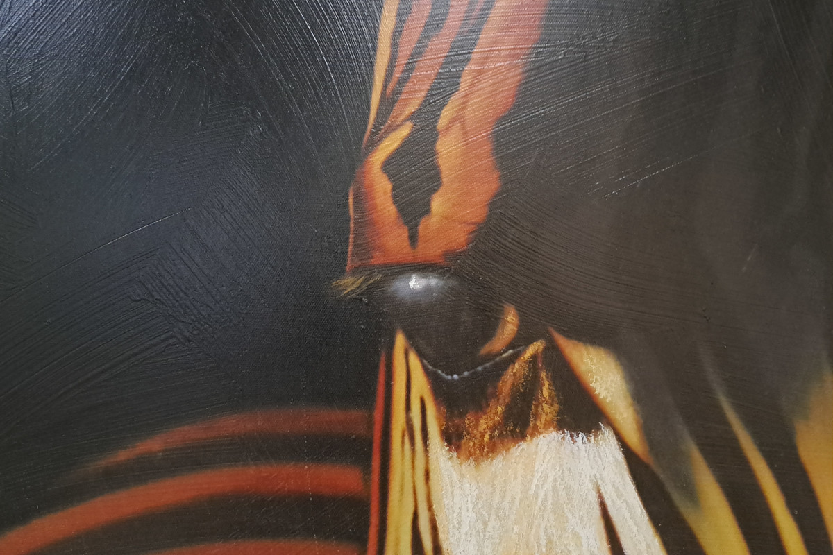 Obraz na płótnie zebra